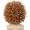 Salaibs Men's Brown Curly Wig Afro Short 70s 80s Synthetic