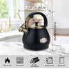 Tea Kettle Stovetop Whistling Kettle Teapot, 3Quart Tea Pot Stainless