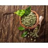Health Embassy Green Coffee Bean - Ground - 225g