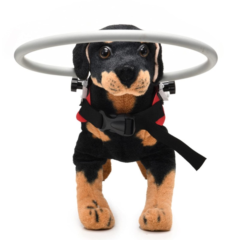 Ring Harness for Dog, Adjustable Dog Ring, Bumper Guards for