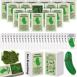 Wonderjune 72 Sets Emotional Support Bulk Appreciation Gifts for Employee Volunteer Teachers Coworkers Team Positive Graduation End of Year Gifts Nurse Teacher Staff Lab Week (Pickle)