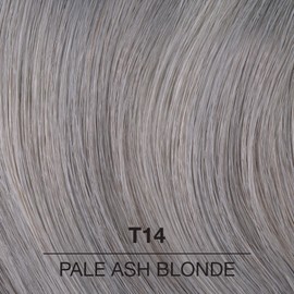 COLORCHARM Permanent Liquid Toners | Neutralize Brass | Free of Parabens | Vegan | T14 Pale Ash Blonde | 1.4 Fl Oz