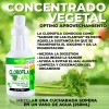 Clorofila Liquida Prettán Concentrado 100% Natural 500ml