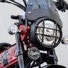 Diablo Custom Works Horn Cover DX017 Anniversary Decorative Horn Cover