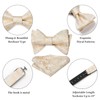 HISDERN Bow Ties for Men Champagne Gold Floral Self Tie
