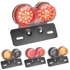 Biqing Multifunction Universal Red Lens Double Motorcycle Taillight/Turn Signal/Brake Stop Lamp/License light
