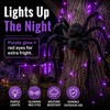 Giant Light-Up Spider for Halloween Decor – Poseable Black Plush