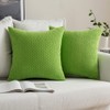 MIULEE Granular Cushion Cover, Pineapple, Soft Plain Decorative Square Cushion