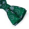 DiBanGu Boys Christmas Bowtie Set Silk Xmas Holiday Pre-tied Bowtie
