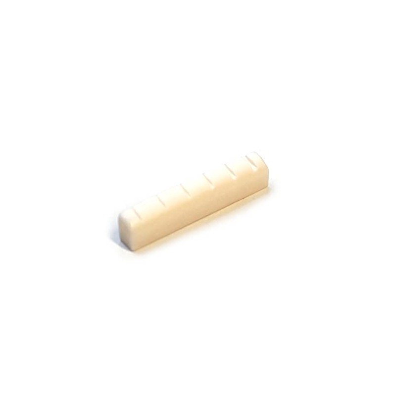 Guitar Anatomy Bone Nut for Les Paul, SG, ES style
