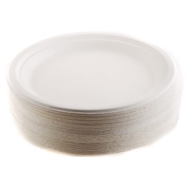 EcoQuality 9 inch Plates 100% Compostable - Natural Sugarcane Biodegradable Compostable Bagasse Bamboo Environmentally Friendly - Plates for Dessert, Appetizers, Birthdays, Microwavable (250)