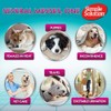 Simple Solution True Fit Disposable Dog Diapers for Female Dogs