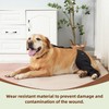 Dog Recovery Sleeve Back Leg Breathable Diving Material,Dog Leg Sleeve