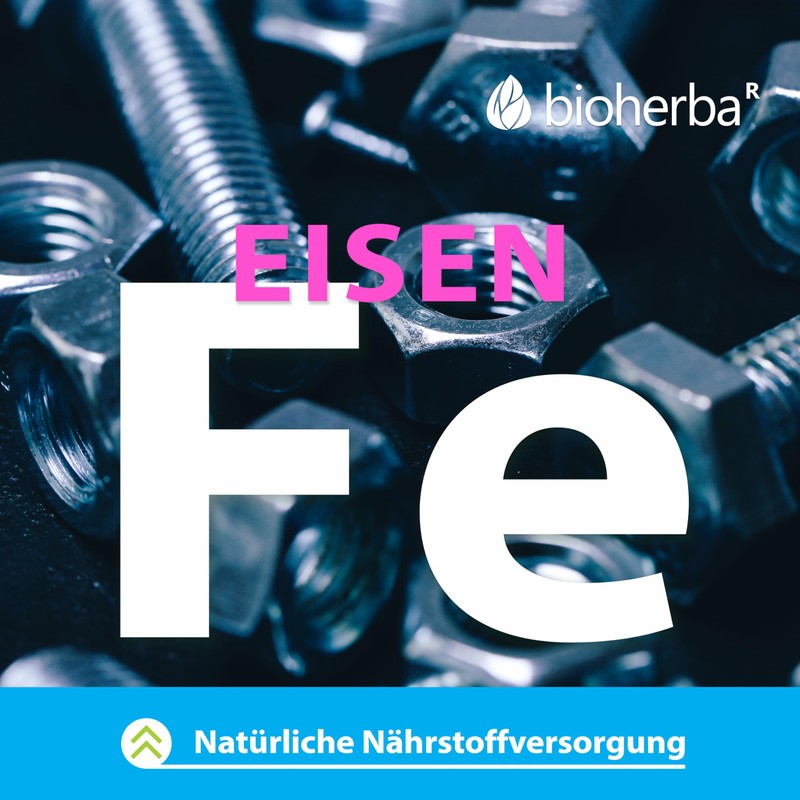 BEE PROPOLIS / PCHELENE POPOPOLIS 60 KAPSULI x 300mg