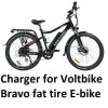 coming data power supply battery Charger for VoltBike Bravo fat