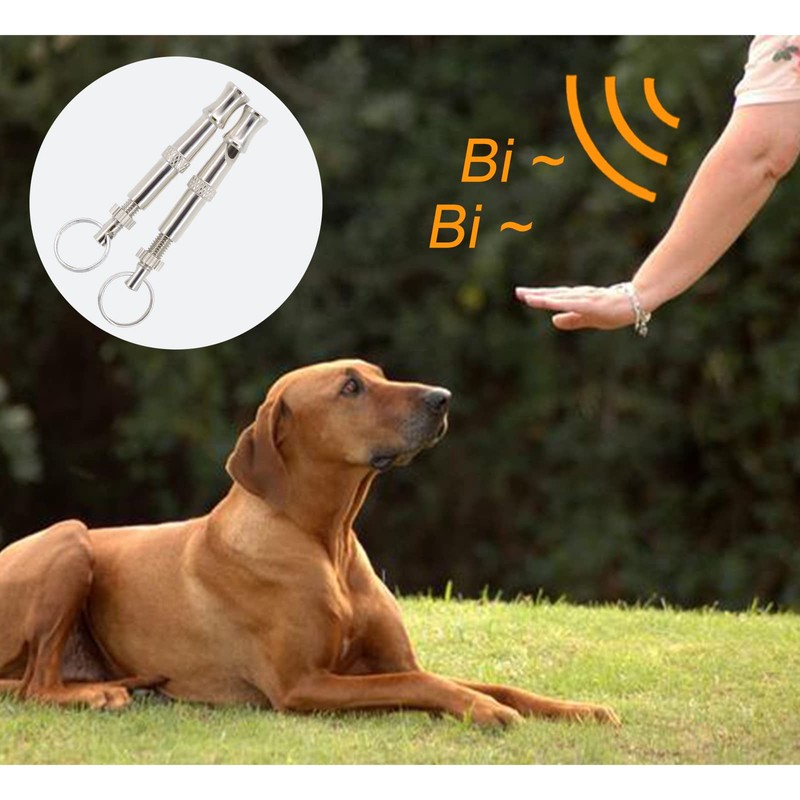 Andiker Dog Whistles with Lanyard 2 Pieces Professional Stainless Steel