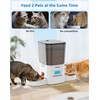 WellToBe Automatic Cat Feeder for 2 Cats, Two Way Splitter