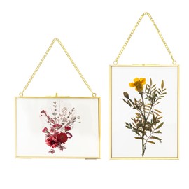 Picture Frame, Glass Frame, 2 Pieces, Hanging Glass Metal Photo Frame, Plant Sample Clip for Pressed Flowers, Photos Only Glass Frame, 13 x 18 cm, Golden