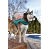 CoyoteVest Dog Harness Protection Vest, Reflective Dog Accessories with Spikes