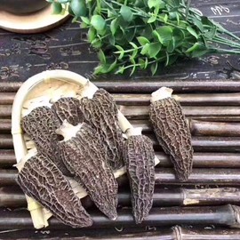 Dried Morel Mushrooms (Morchella Conica) (2oz)