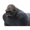 75304 Western Lowland Gorilla Vinyl Model