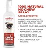 Mighty Petz Mighty Petz No Chew Spray for Dogs MAX
