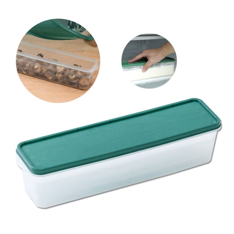 Dtoterul Spaghetti Storage Pack of 2 Spaghetti Pasta Containers Storage