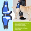 Nature Pet Dog Carry Aid Rear / Dog Walking Aid