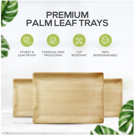 Palm Leaf Platters, 100% Compostable Disposable Eco-Friendly & Biodegradable Party Tableware, Best Alternative to Plastic,(14"x10" 30 Platers) by KoalaLove