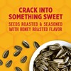 DAVID Honey Roasted Flavored Salted & Roasted Jumbo Sunflower Seeds,