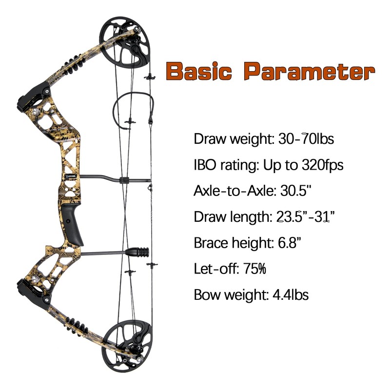 AKCHOER Compound Bow and Arrow Set, 30-70 Lbs Draw Weight,
