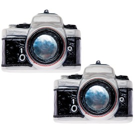 2 Pack Hand Blown Glass Camera Ornament, Hand Painted Glass Camera Ornaments for Christmas Tree, Classic Glass Camera Christmas Ornament for Photographer