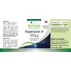 Fairvital Huperzin A 200 μg – from bear flap extract