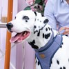 HUGO & HUDSON Nylon Dog Collar with Quick Release Safety