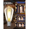 SUNSGNE 25Pack LED String Light Bulbs, ST38 Shatterproof Replacement Bulbs