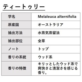 ASH Tea Tree Essential Oil 3.4 fl oz (100 ml) AEAJ Certified Certified Essential Oil