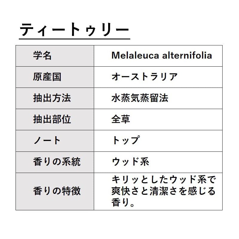 ASH Tea Tree Essential Oil 3.4 fl oz (100 ml)