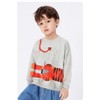 Little Hand Sweatshirts for Boys Animal Hoodie Pullover Grey Toddler