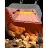 JIAXIDE Dual-Mode 300W Heat Lamp for Chickens - Long-Lasting Brooder