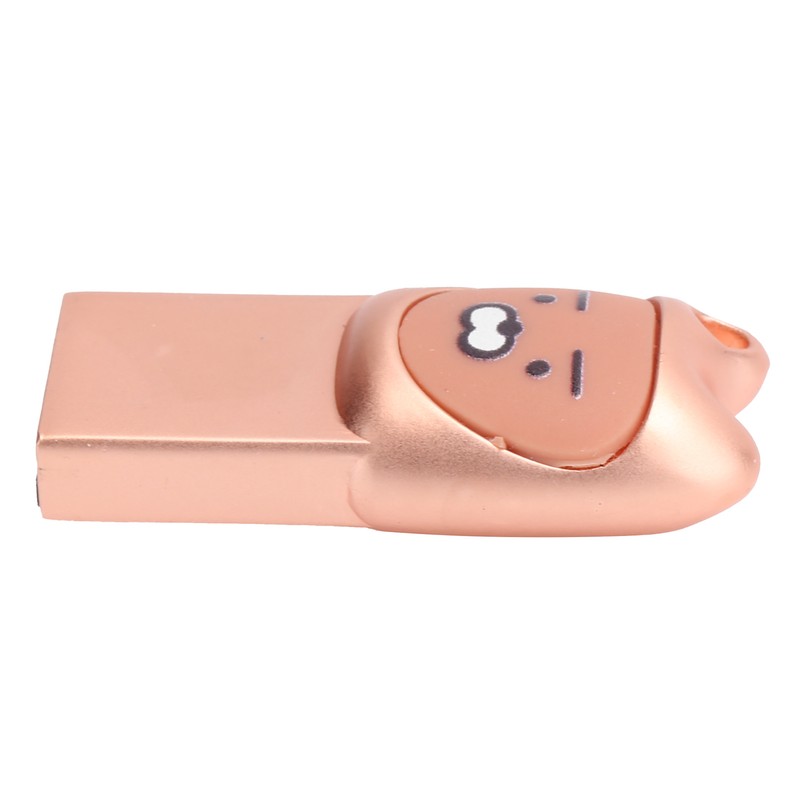 U Disk Portable Data Reading Transmission Device Card Reader Cartoon