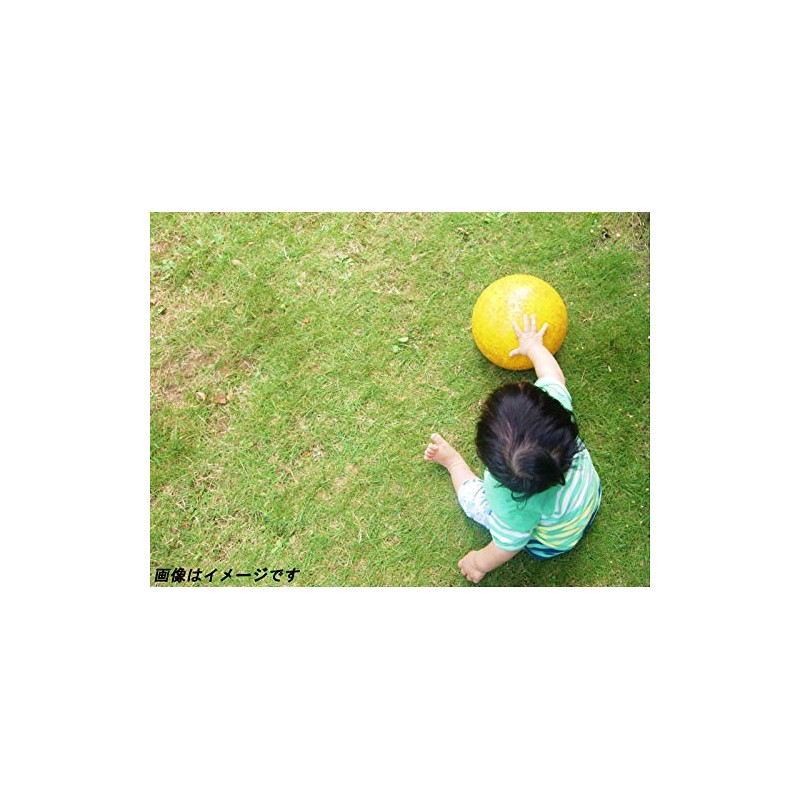 Nagasekenko Kenko S160-G Green 160 Soft Ball 160 Green 160