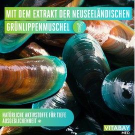 Vitabay Grünlippenmuschel Balsam Salbe Wärmebalsam - Für Haut, Muskeln und Gelenke - Grünlippmuscheln Grünlippenmuschel Grünlippenmuschelextrakt Gruenlippmuschel Grunlippmuscheln Grünlippmuschel Salbe