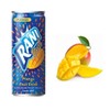 Rani Mango Fruit Drink - Pack of 24 - 8oz
