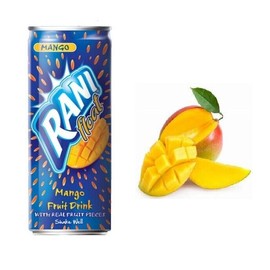 Rani Mango Fruit Drink - Pack of 24 - 8oz Cans -  عصير المانجو راني