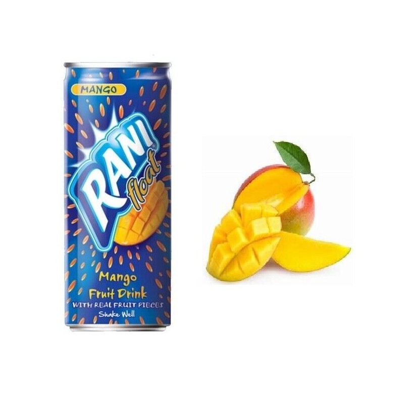 Rani Mango Fruit Drink - Pack of 24 - 8oz