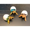Globe Imports Baby Sea Turtles Hatching from Eggs Mini Figurines,