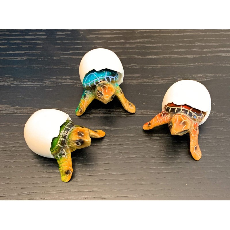 Globe Imports Baby Sea Turtles Hatching from Eggs Mini Figurines,