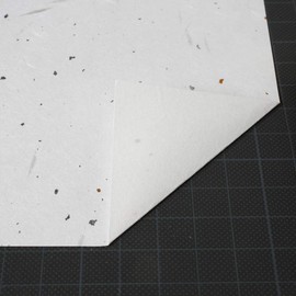 大直 コピー用紙 和紙 大礼紙 金銀砂子 A4 20枚 206040405