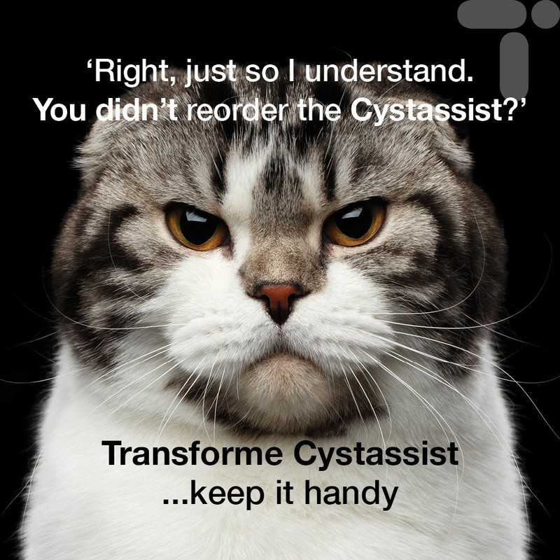 Cystassist, Feline Urinary Tract Supplement, Support for Cats of All