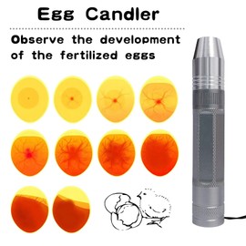 longsen Egg Candler, Rechargeable and Portable Egg Candler for Chicken Egg, Candling Lamp Egg Candler Tester for Monitoring Eggs Development